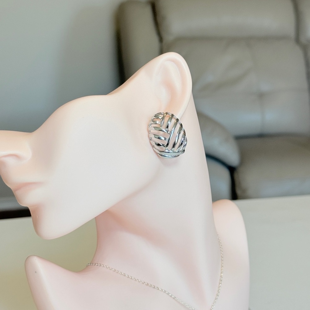 Elegant Silver Earrings